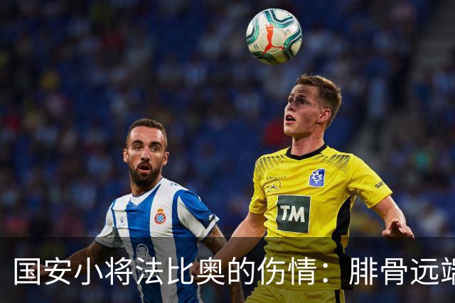 国安小将法比奥的伤情：腓骨远端不乖，夺走他的比赛时间